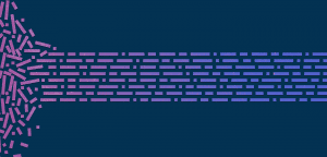 data management blog